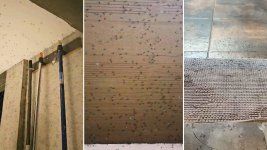 las impactantes imagenes de los mosquitos que invadieron la plata