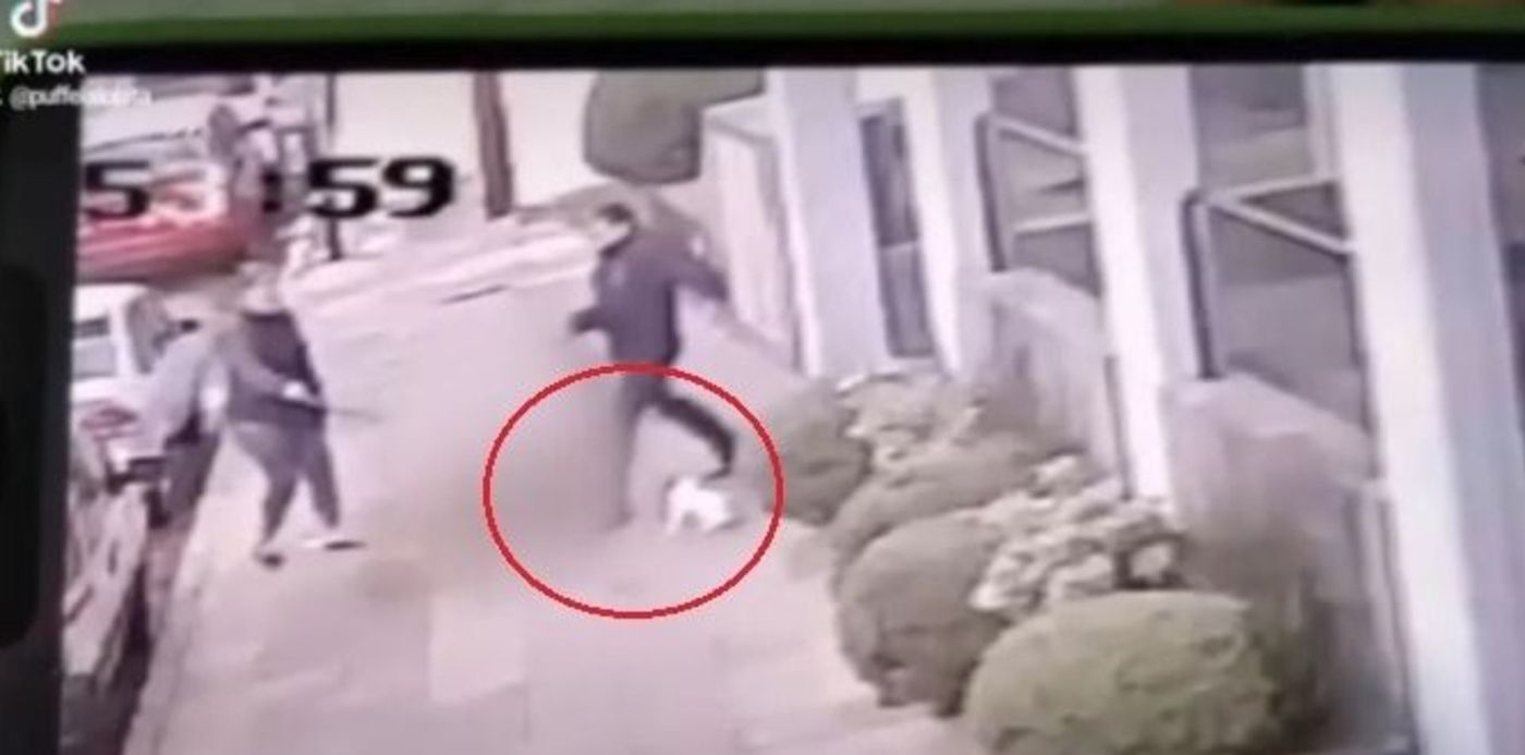 1688645579587.jpg?x=7&y=9&width=666&height=333&rotate=0&scaleX=1&scaleY=1&ow=682&oh=360&&cw=1920&ch=950