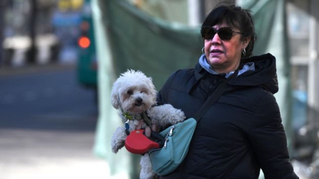 el dia del amigo estara fresco y nublado, a la espera del calor que llega a la plata
