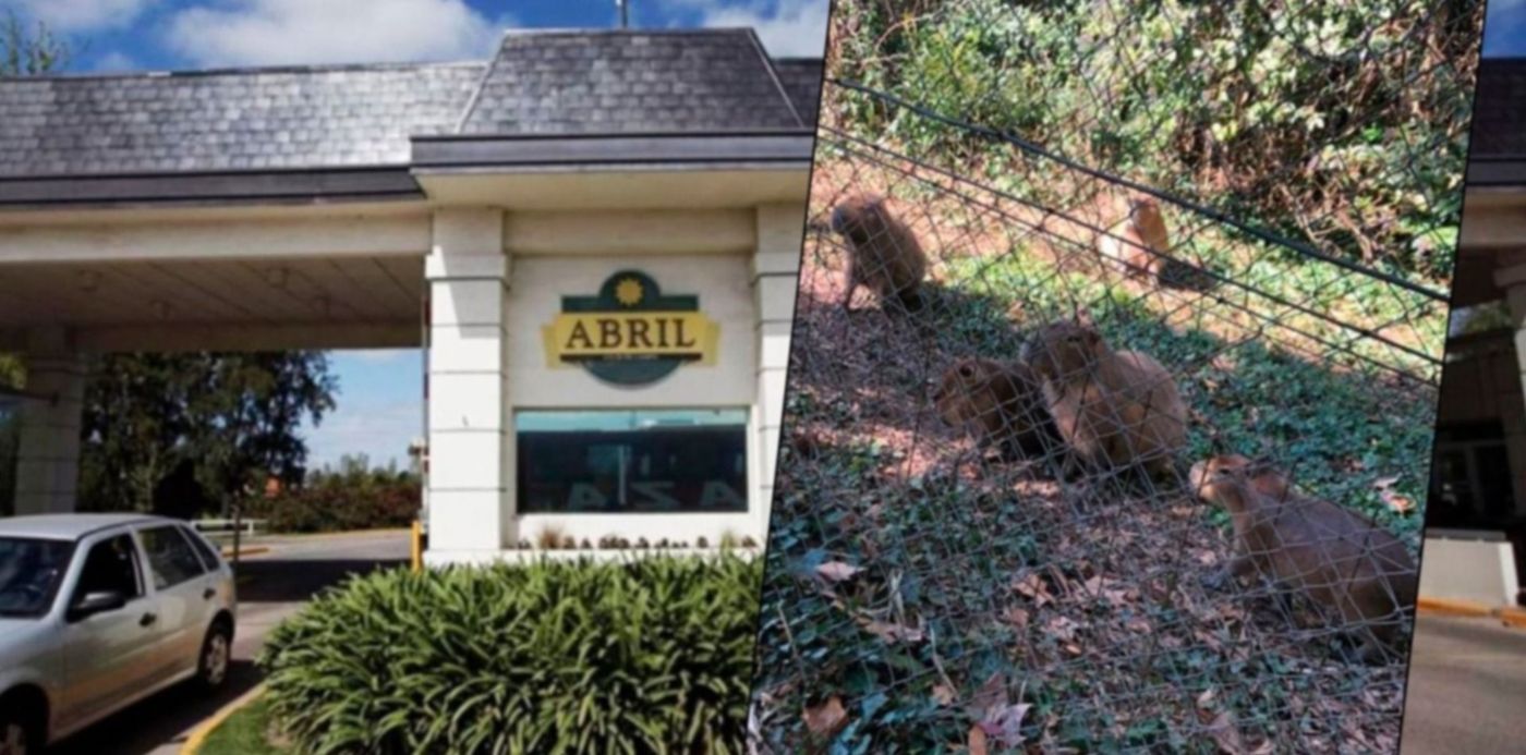 1593694715311.jpg?x=13&y=2&width=1474&height=737&rotate=0&scaleX=1&scaleY=1&ow=1500&oh=742&&cw=1920&ch=950