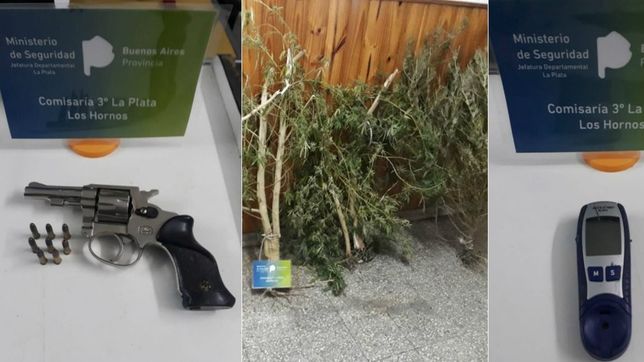 asaltaron a una abuela y le robaron hasta el medidor de insulina, pero los detuvieron