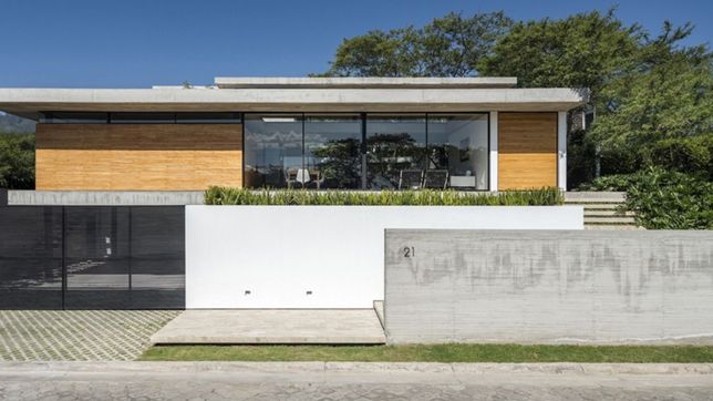 vivir entre los arboles