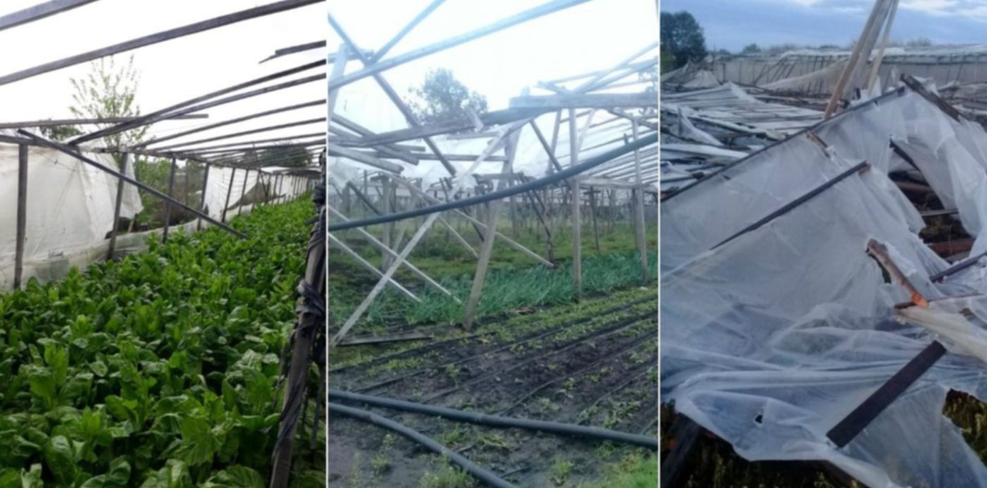 1537813223768.jpg?oh=720&x=7&height=593&scaleY=1&ow=1200&y=31&width=1186&rotate=0&scaleX=1&&cw=1920&ch=950