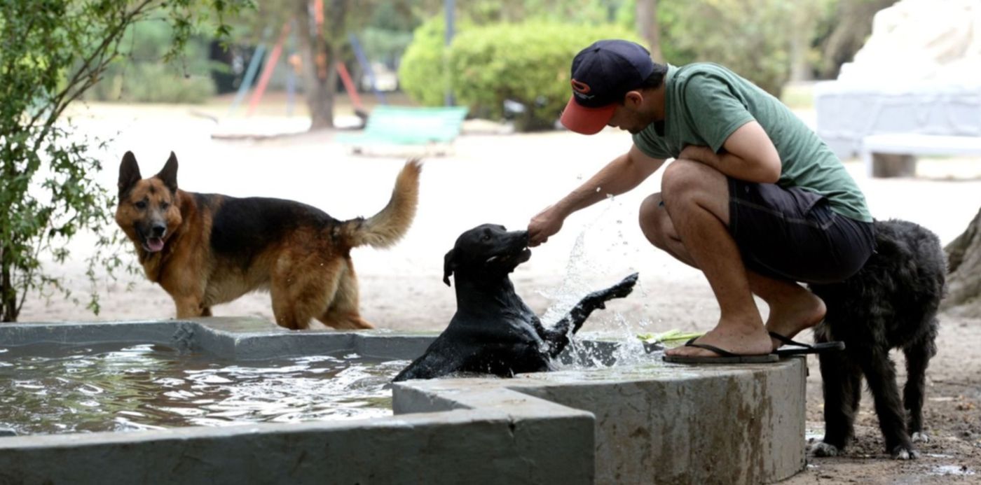 1640949406115.jpg?x=15&y=181&width=1476&height=738&rotate=0&scaleX=1&scaleY=1&ow=1500&oh=1010&&cw=1920&ch=950