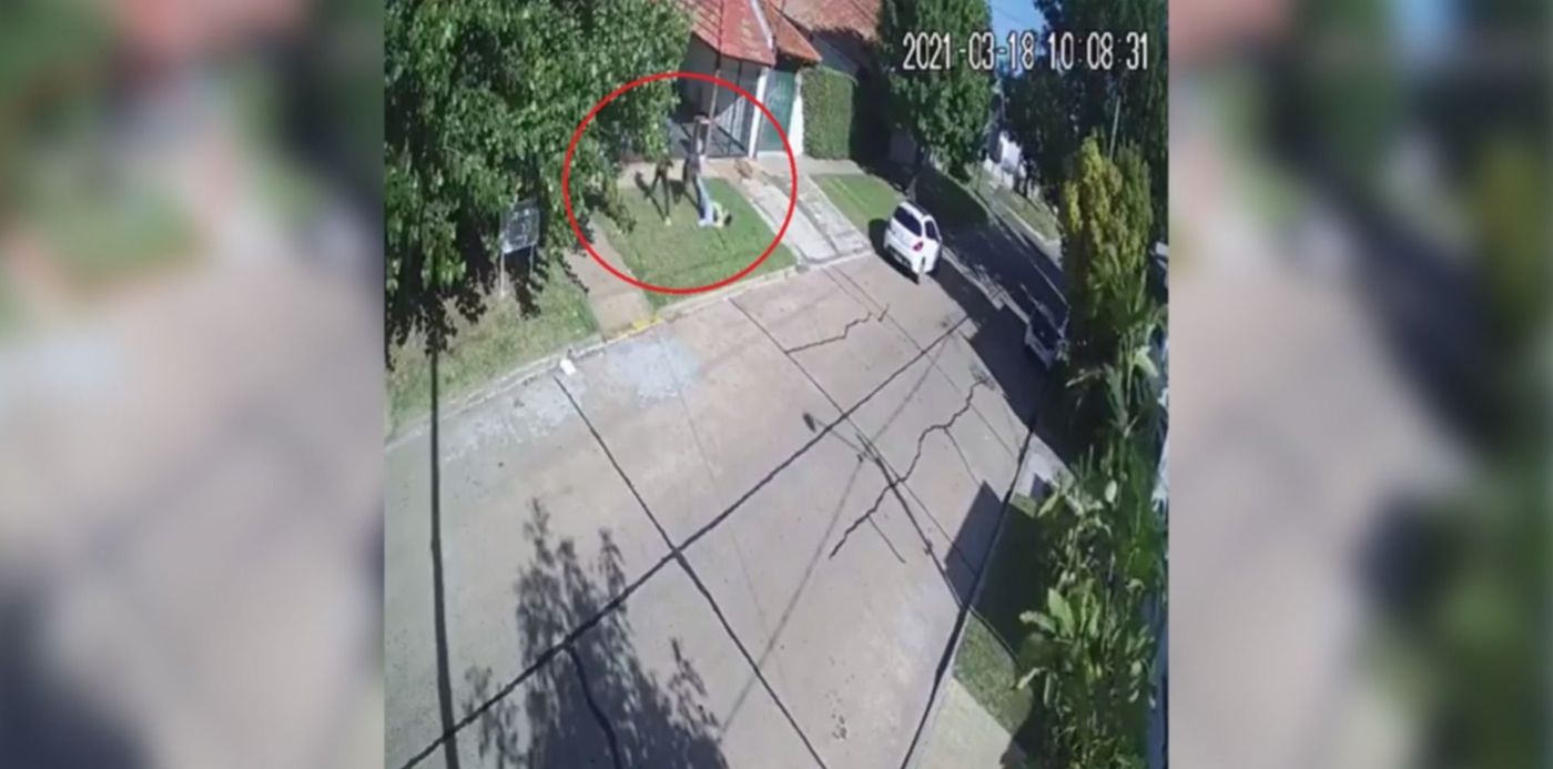 1616096757416.jpg?x=7&y=1&width=1487&height=743&rotate=0&scaleX=1&scaleY=1&ow=1500&oh=843&&cw=1920&ch=950