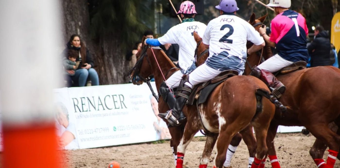 1658526290811.jpg?x=3&y=132&width=1462&height=731&rotate=0&scaleX=1&scaleY=1&ow=1449&oh=966&&cw=1920&ch=950