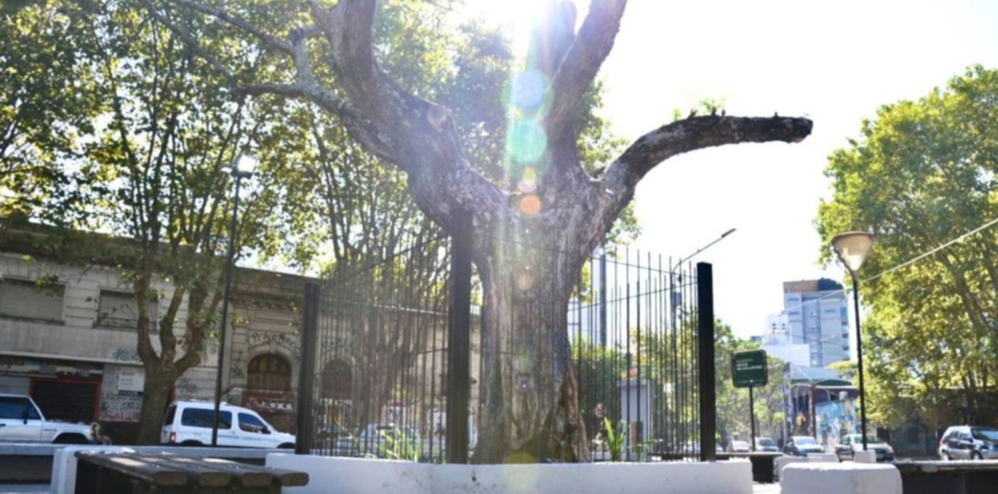 1616541100587.jpeg?x=9&y=51&width=1263&height=631&rotate=0&scaleX=1&scaleY=1&ow=1280&oh=853&&cw=1920&ch=950