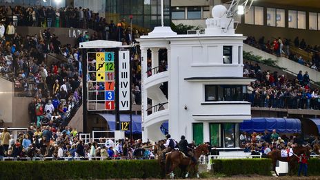 Milonga, cultura y visitas guiadas: el programa del Hipódromo de La Plata para el semana