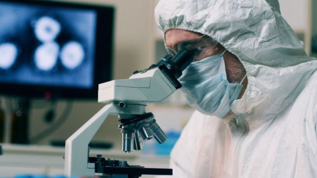 la oms investiga dos causas posibles de la hepatitis infantil desconocida