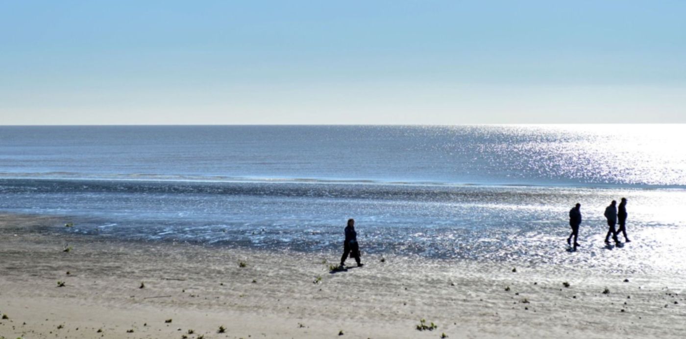 1560958685957.jpg?scaleY=1&y=246&height=736&rotate=0&scaleX=1&ow=1500&oh=982&x=16&width=1472&&cw=1920&ch=950