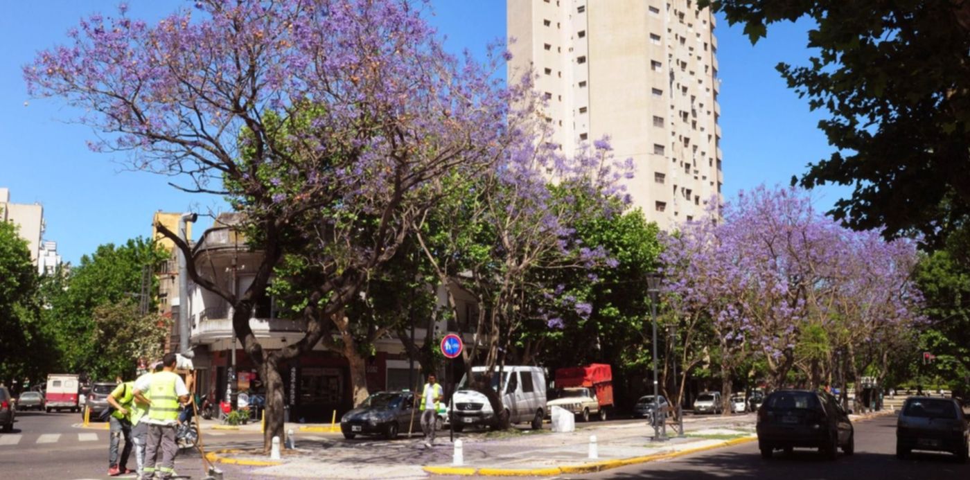 1575150086014.jpg?oh=996&x=4&height=743&scaleY=1&scaleX=1&ow=1500&y=244&width=1486&rotate=0&&cw=1920&ch=950