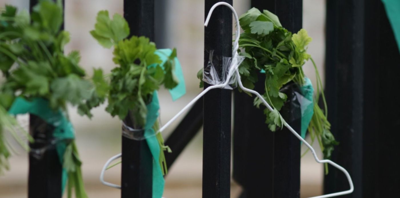 1616682682057.jpg?x=13&y=83&width=1473&height=737&rotate=0&scaleX=1&scaleY=1&ow=1500&oh=1000&&cw=1920&ch=950