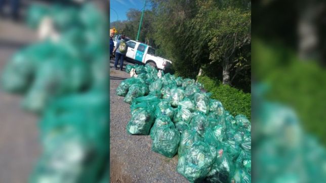 la impactante foto de toda la basura que sacaron de la reserva natural de punta lara