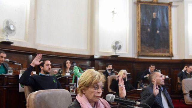 el concejo deliberante platense se tino de verde por la legalizacion del aborto