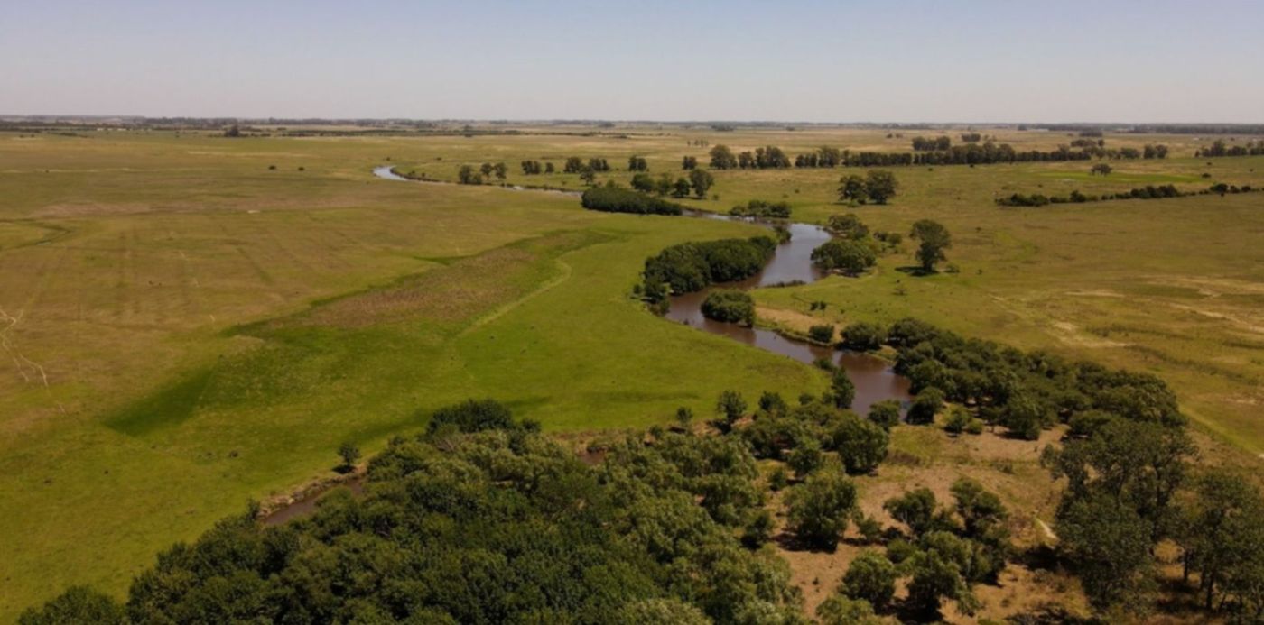 1674322188873.jpg?x=4&y=3&width=1489&height=745&rotate=0&scaleX=1&scaleY=1&ow=1500&oh=843&&cw=1920&ch=950