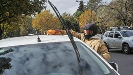 la municipalidad adelanto que no permitira la actividad institucionalizada de los trapitos