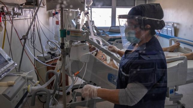 por segundo dia consecutivo no se informo la cantidad de muertes por covid-19 en la plata