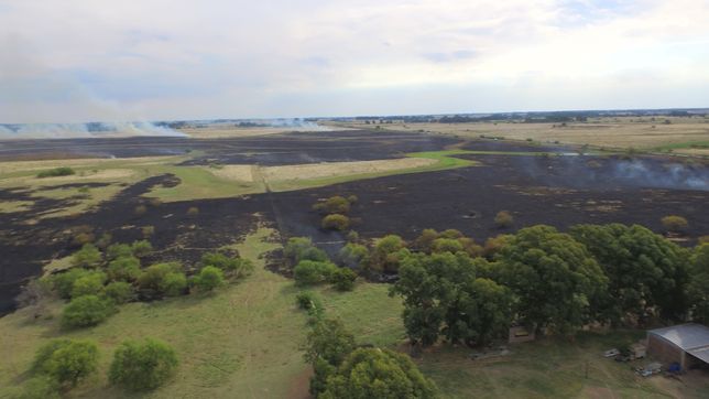 un voraz incendio puso en jaque a la balandra y amenazo zonas rurales cercanas en berisso