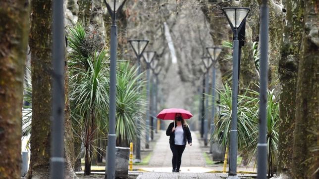 ¿vuelven las lluvias a la plata?: asi estara el clima durante toda la semana en la ciudad
