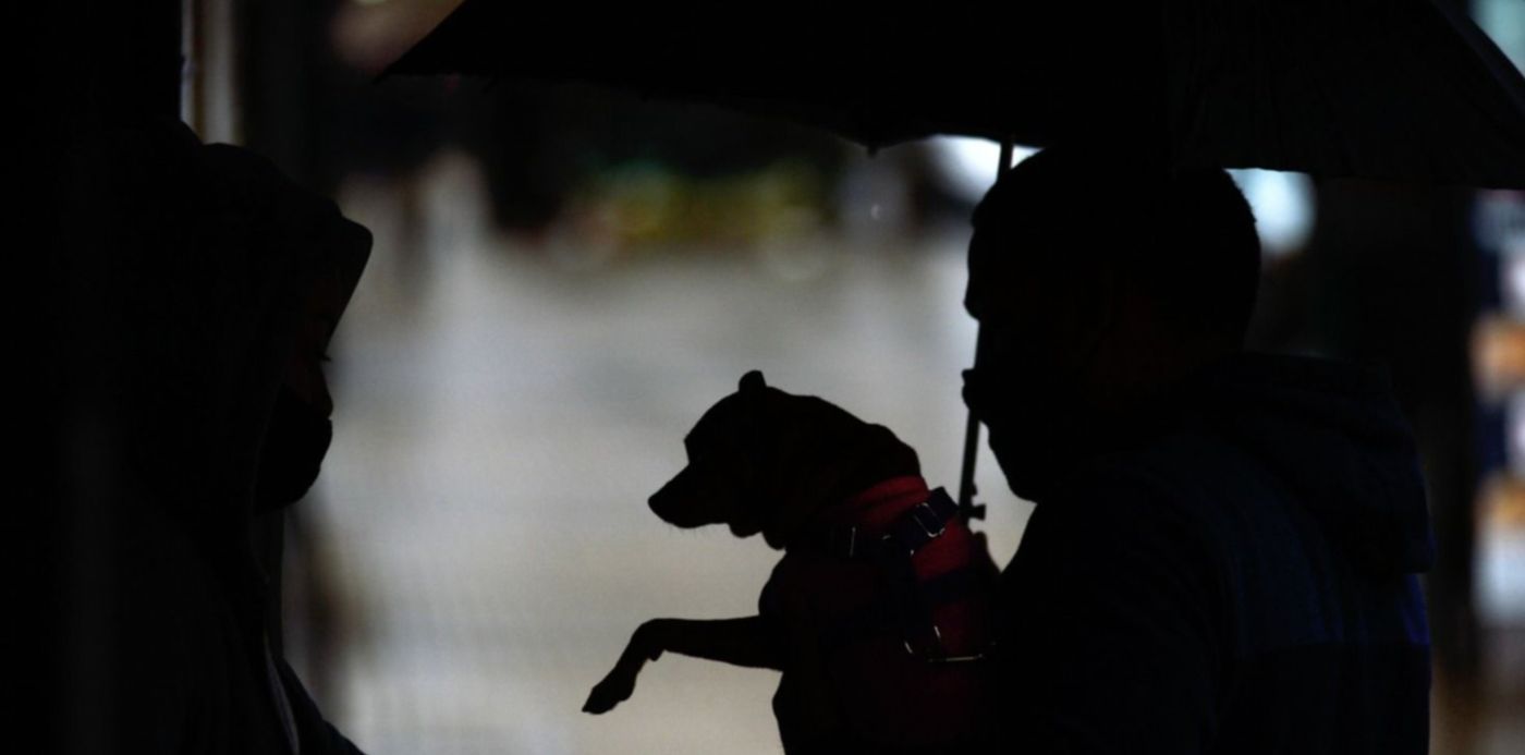 1598373758135.jpg?x=24&y=49&width=1469&height=734&rotate=0&scaleX=1&scaleY=1&ow=1500&oh=996&&cw=1920&ch=950