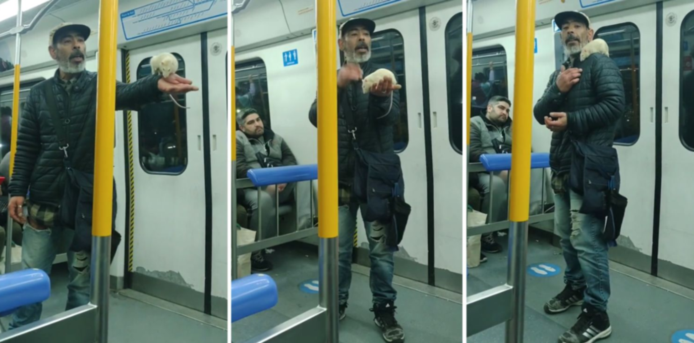 1690467276740.jpg?x=8&y=0&width=1484&height=742&rotate=0&scaleX=1&scaleY=1&ow=1500&oh=742&&cw=1920&ch=950