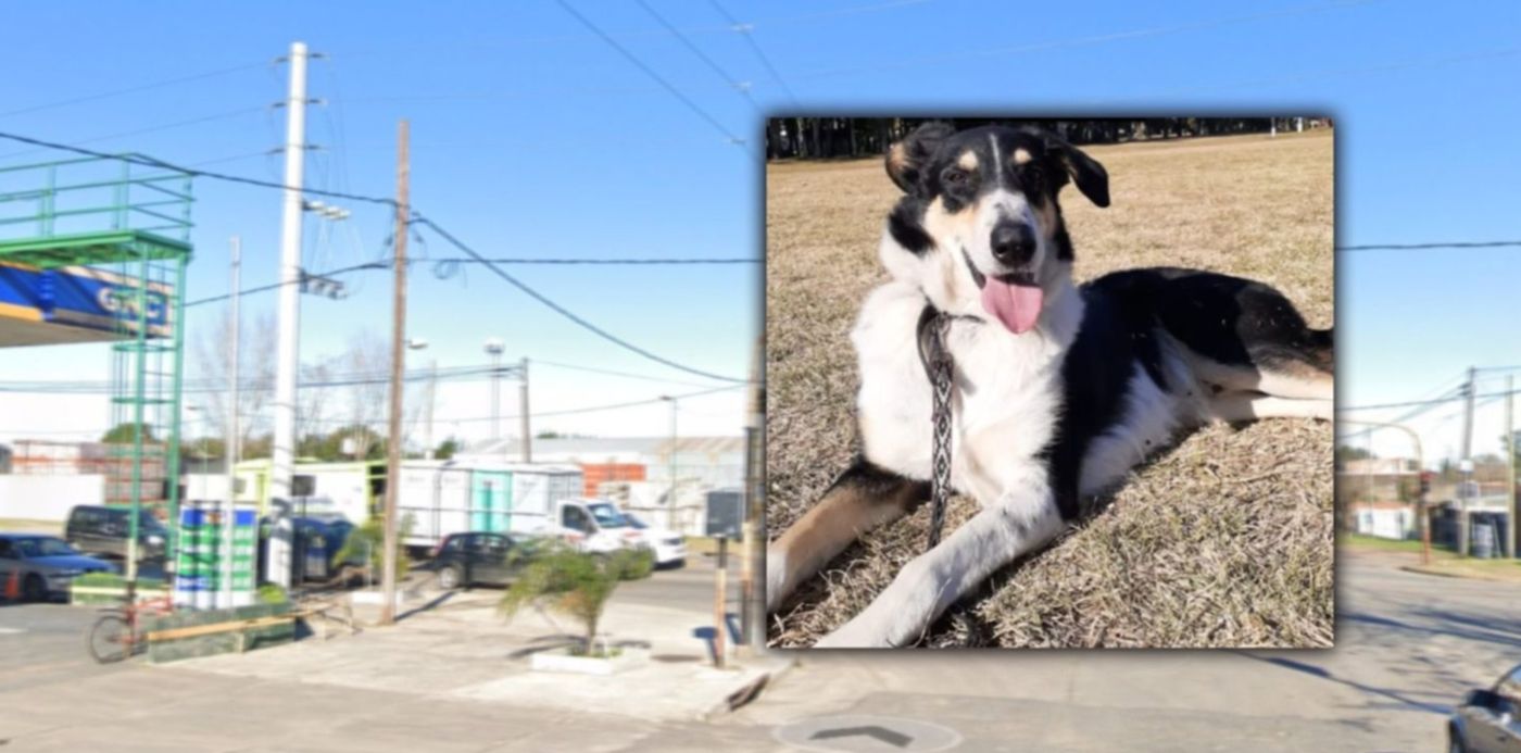 1670716615643.jpg?x=6&y=0&width=1476&height=738&rotate=0&scaleX=1&scaleY=1&ow=1500&oh=742&&cw=1920&ch=950