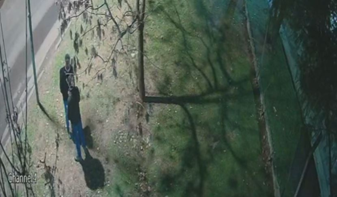 Diseño sin título.png