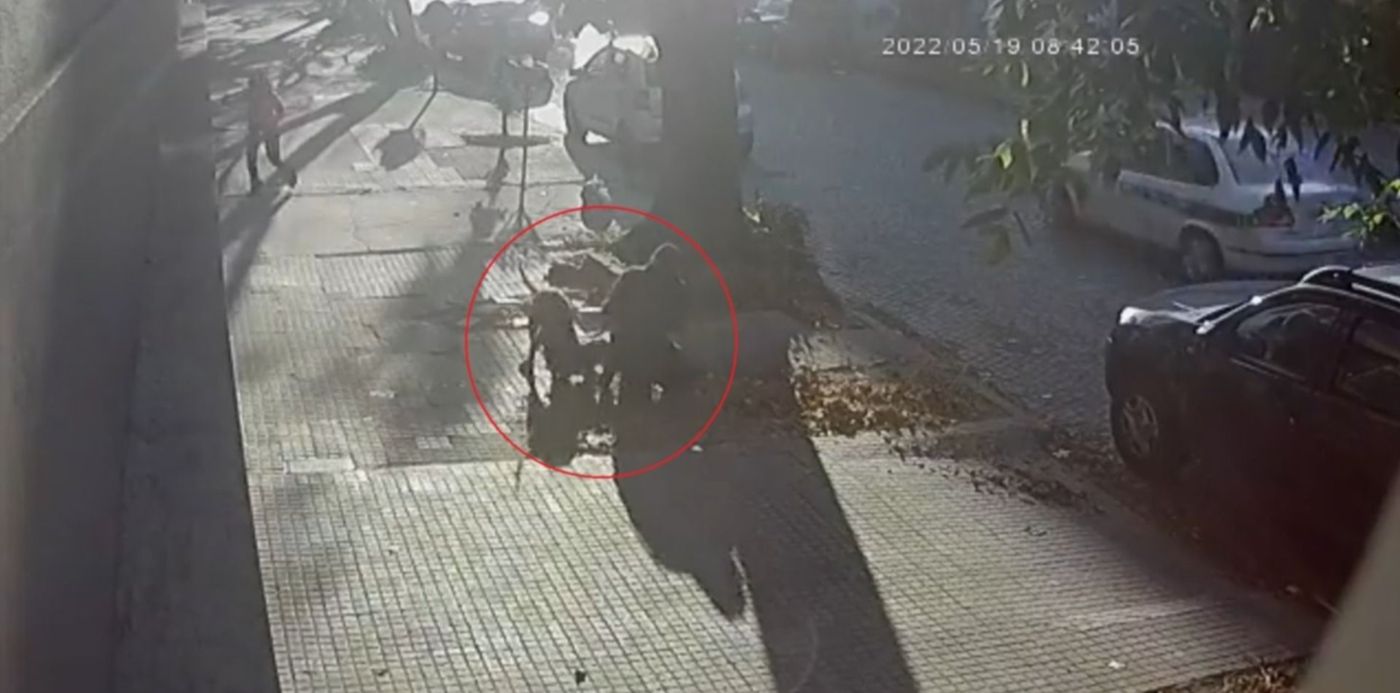 1653003571267.jpg?x=5&y=20&width=1490&height=745&rotate=0&scaleX=1&scaleY=1&ow=1500&oh=843&&cw=1920&ch=950