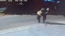 detuvieron al ladron que asalto a un nene de 12 anos cuando se dirigia a la escuela detuvieron al ladron que asalto a un nene de 12 anos cuando se dirigia a la escuela