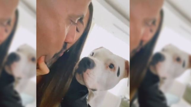 video: los besos de la novia de veron que hicieron poner celoso al perro de la bruja