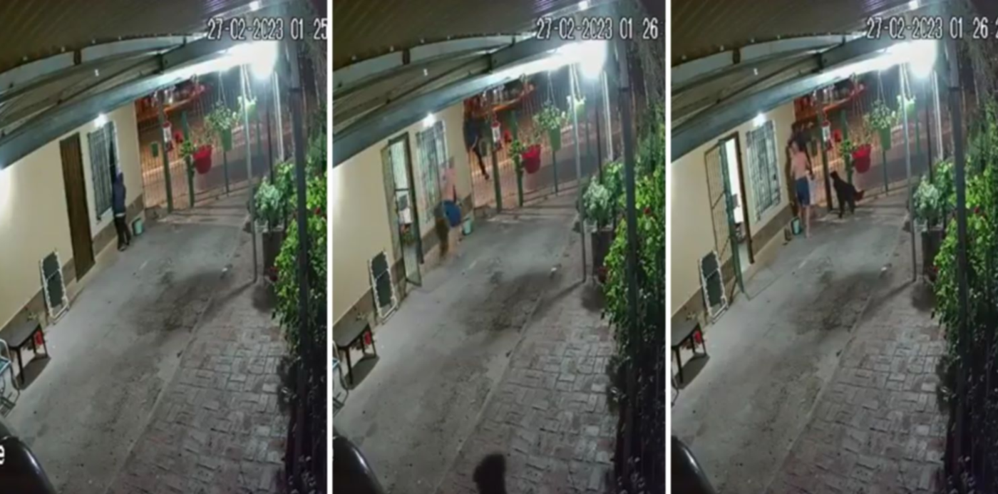 1677594797107.jpg?x=8&y=0&width=1484&height=742&rotate=0&scaleX=1&scaleY=1&ow=1500&oh=742&&cw=1920&ch=950