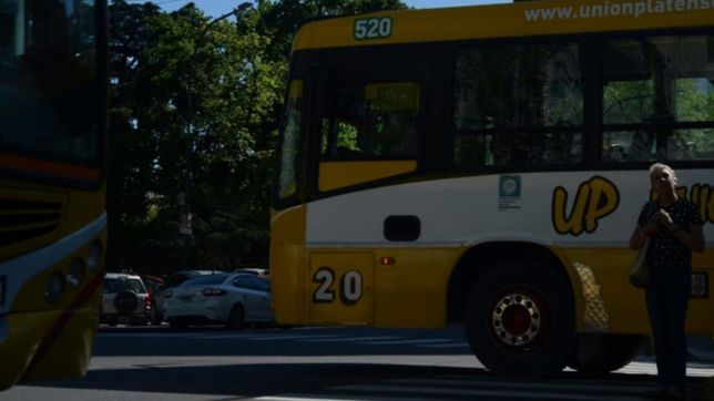 manana fresca y tarde de sol: asi va a estar el clima en la plata