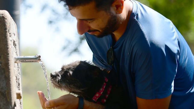 la primera semana de diciembre termina en la plata con mucho calor y amenaza de lluvias