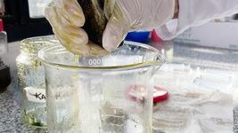en la unlp aplican cannabis para tratar a pacientes neurologicos
