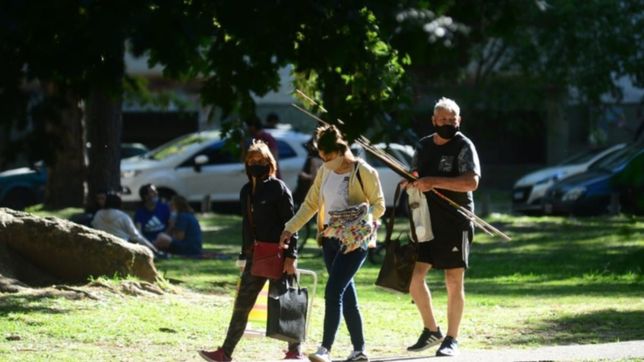 se consolida la caida de los casos de coronavirus en la plata