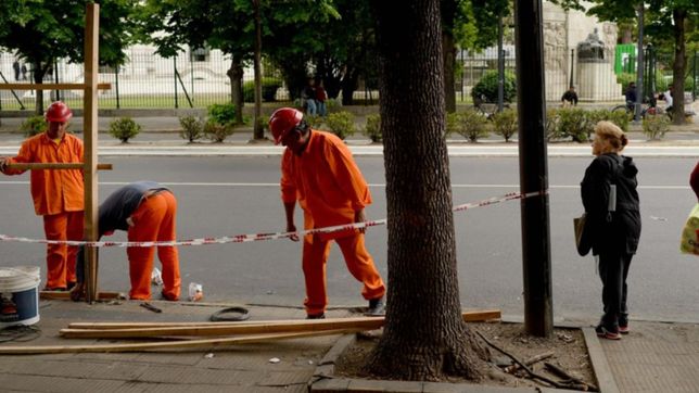 forestacion, luces y paradas nuevas: asi quedara avenida 7 tras la renovacion de veredas