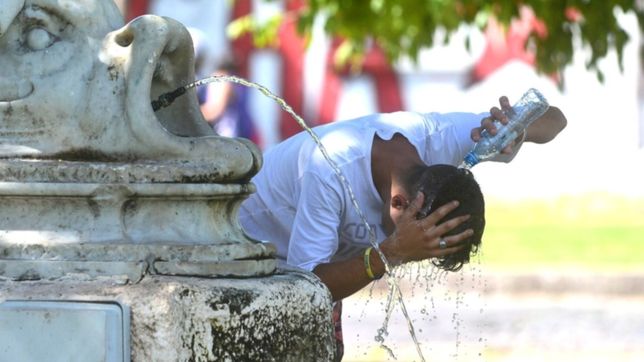 anuncian la llegada de una ola de calor para los proximos dias en la plata