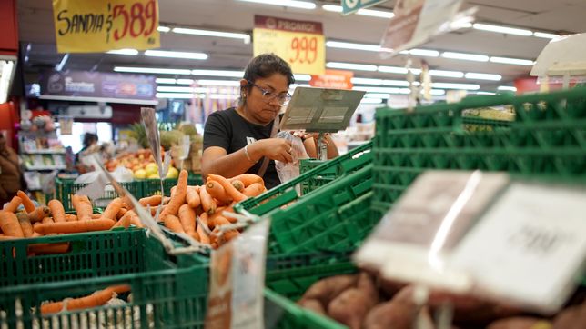 con la medicion de la inflacion que el gobierno postergo, la caida salarial en la era milei seria casi el triple