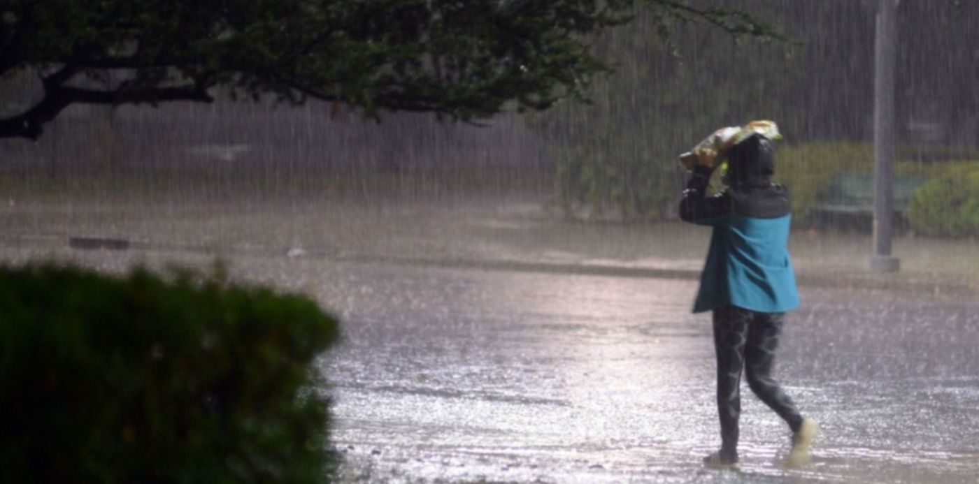 1606265019890.jpg?x=14&y=148&width=1476&height=738&rotate=0&scaleX=1&scaleY=1&ow=1500&oh=1076&&cw=1920&ch=950