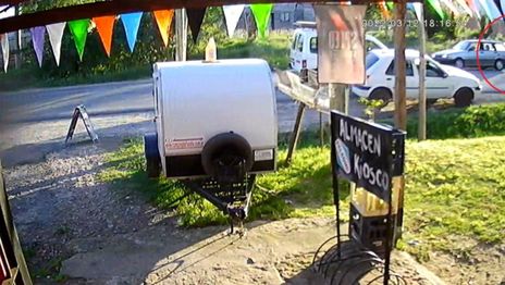 Le robaron a su perro y lo busca desesperadamente