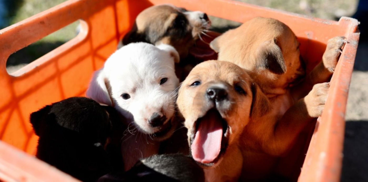 1627052252678.jpg?x=4&y=126&width=1492&height=746&rotate=0&scaleX=1&scaleY=1&ow=1500&oh=998&&cw=1920&ch=950