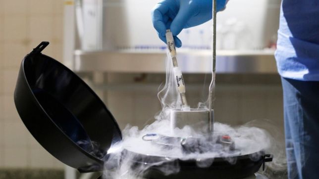 la unlp convoco a sus investigadores a trabajar en el plan argentina contra el hambre