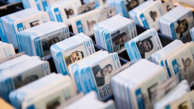 turnos, teoricos online y bioseguridad: ¿como sera el protocolo para renovar el carnet?