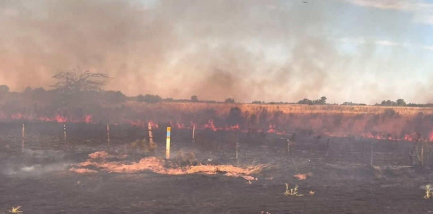 1641162286930.jpg?x=7&y=129&width=1136&height=568&rotate=0&scaleX=1&scaleY=1&ow=1150&oh=718&&cw=1920&ch=950