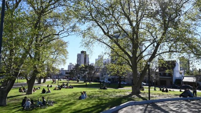 domingo con algo de viento y temperaturas agradables: asi seguira el clima en la plata