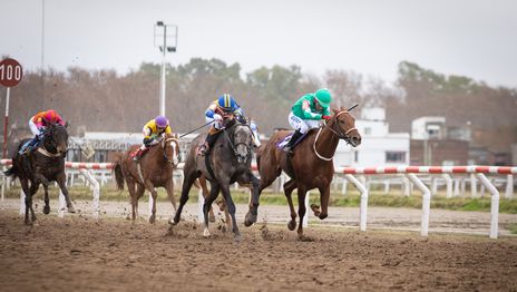El Hipódromo será escenario del gran premio Especial La Plata Capital