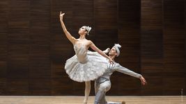 vuelve el ballet al teatro argentino de la plata con la suite de la bayadera vuelve el ballet al teatro argentino de la plata con la suite de la bayadera