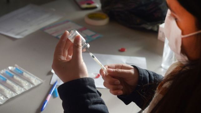 covid-19: la vacuna de la unlp obtuvo financiamiento y esperan probarla en ratones