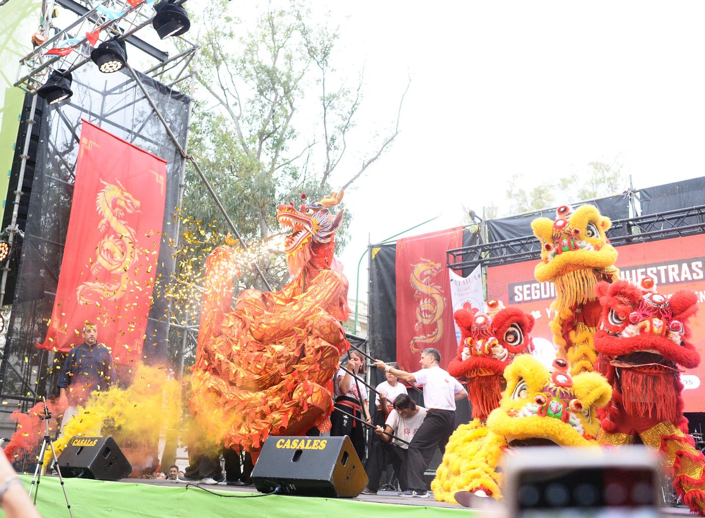 Año Nuevo Chino (34).jpg