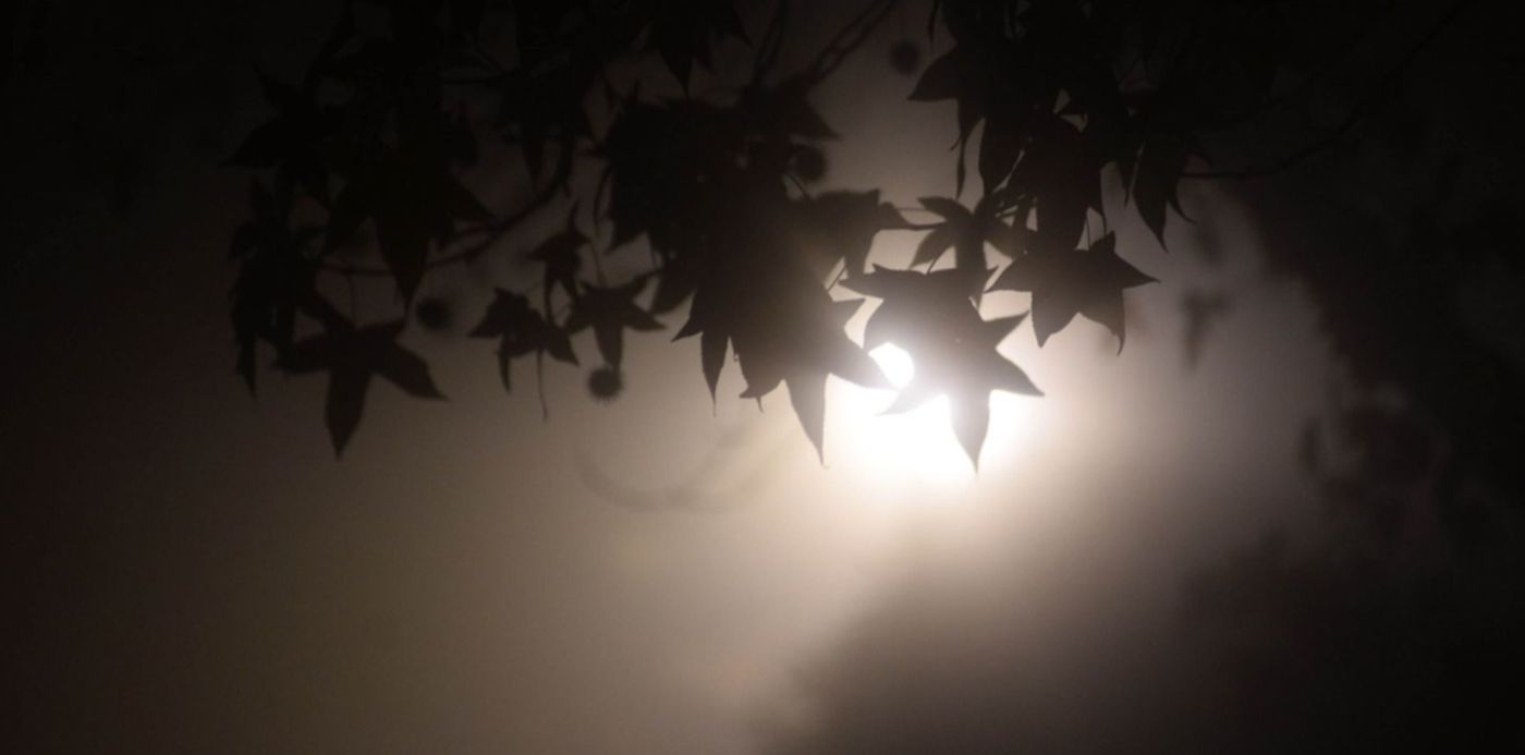 1591787136724.jpg?rotate=0&scaleY=1&ow=1500&oh=1110&height=739&y=251&width=1478&scaleX=1&x=13&&cw=1920&ch=950